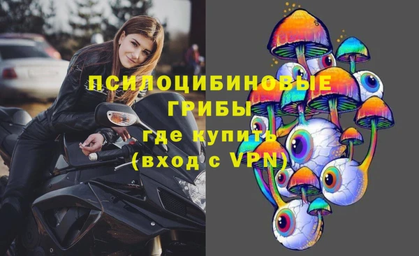 сатива Дмитровск