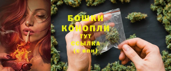 спиды Дмитриев